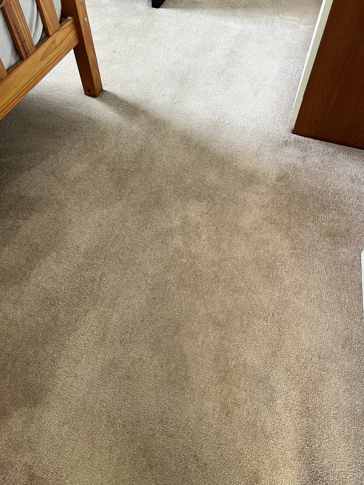 Carpet looking cleaner after professional stain treatment and extraction cleaning