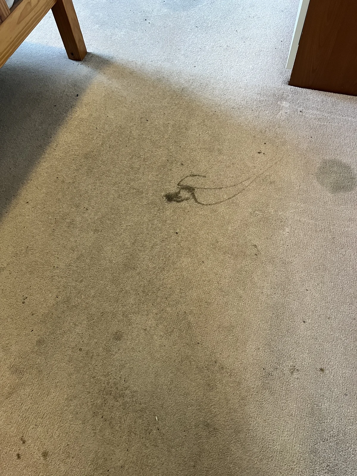 Carpet with visible dirt and stains before professional cleaning