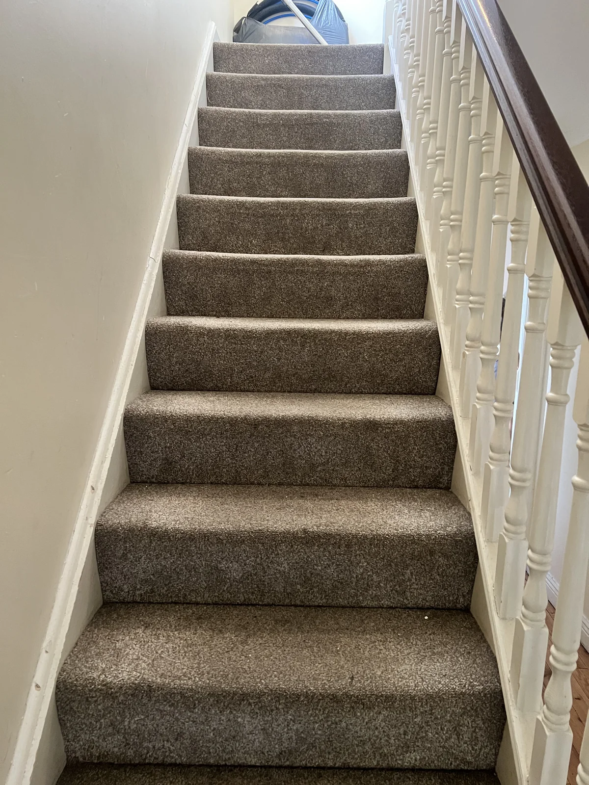 Short carpeted staircase with fewer steps